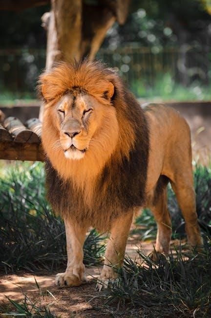 king of pride pdf king of pride pdf