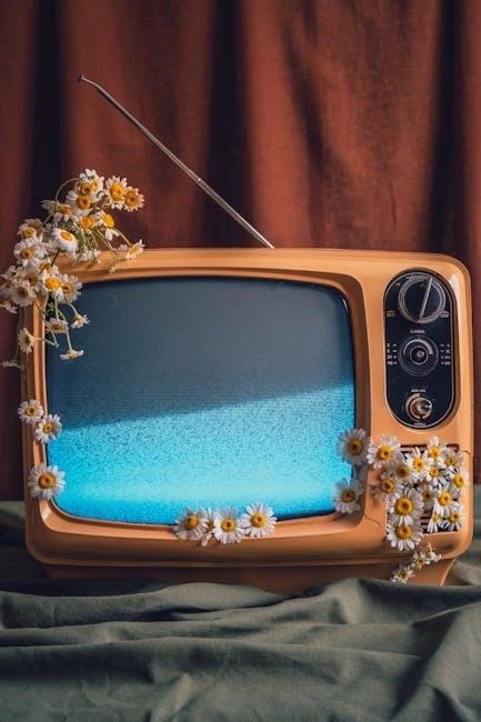 charleston tv guide charleston tv guide