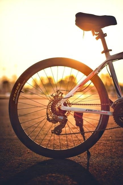 bike tire width guide bike tire width guide