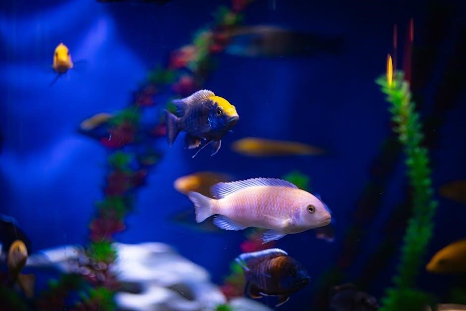 planted fish tank guide planted fish tank guide