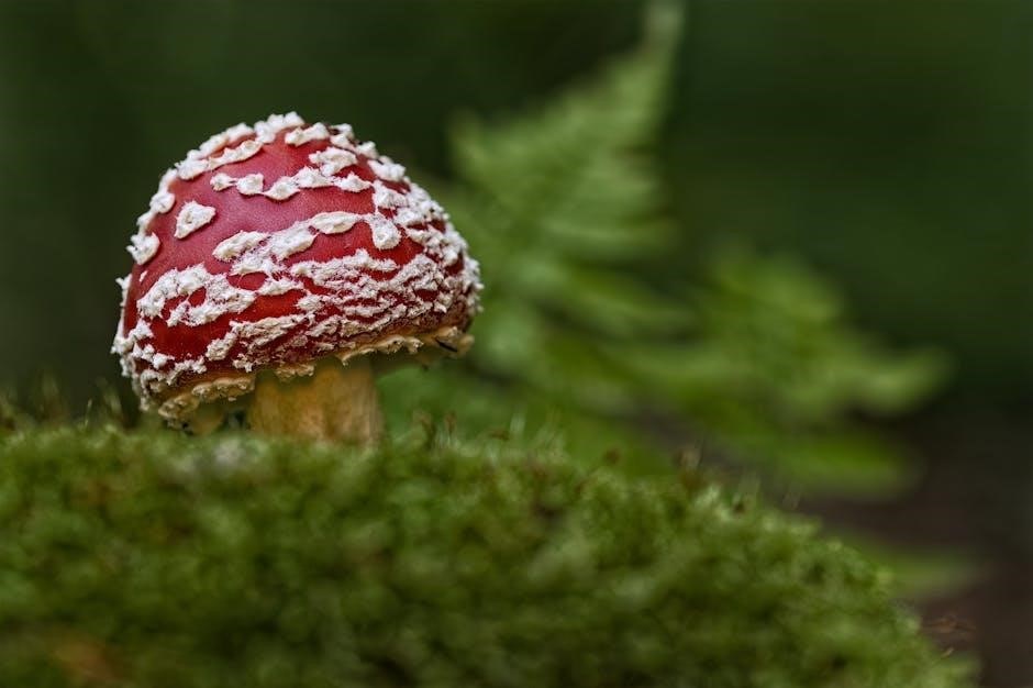 which nims guiding principle supports interoperability among multiple